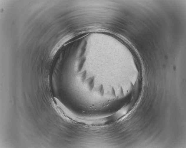 X0000053161289200508012326
