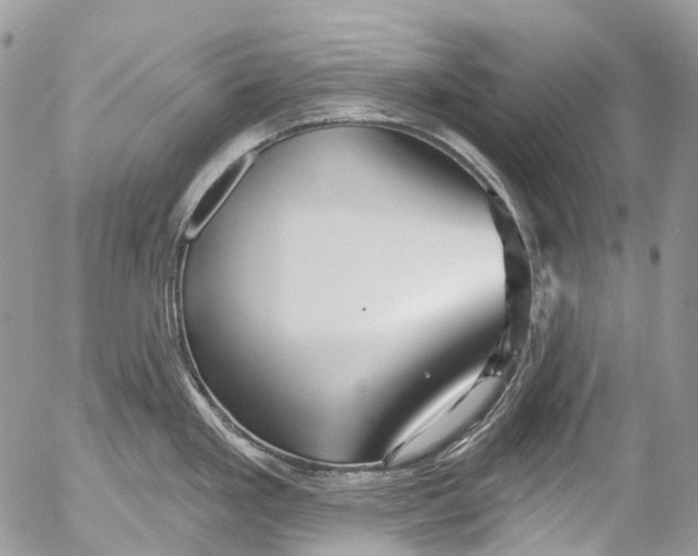 X0000053161293200508012326