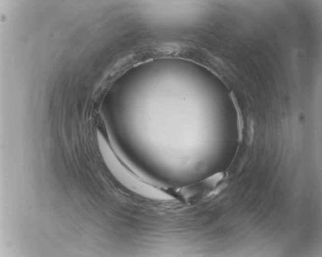 X0000053161394200508012324