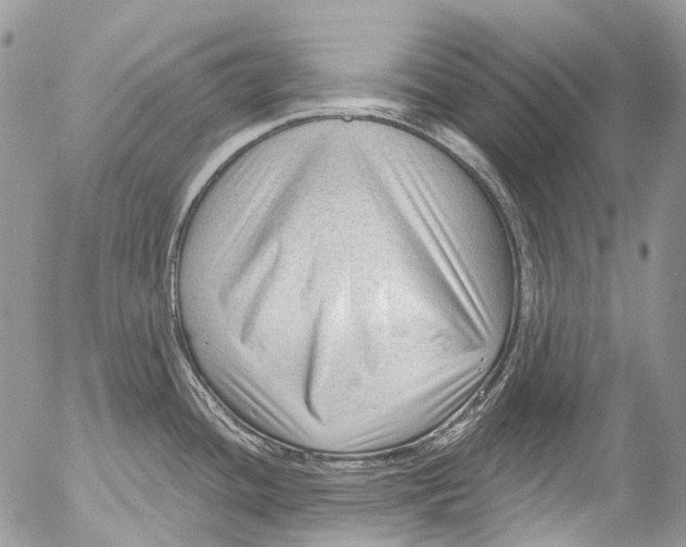 X0000053161436200508012324