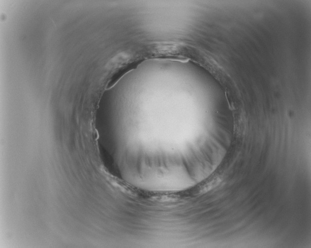 X0000053161441200508012324