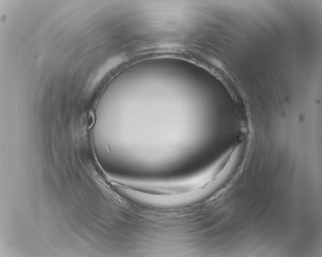 X0000053161450200508012323