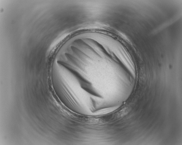 X0000053161456200508012323