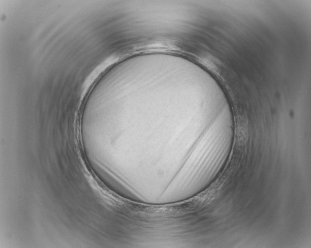 X0000053161474200508012323