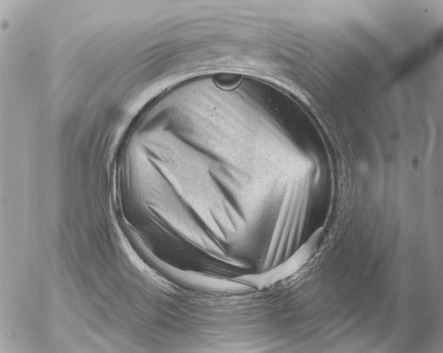 X0000053161515200508012322