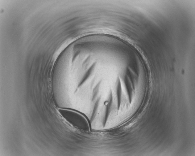 X0000053161529200508012323