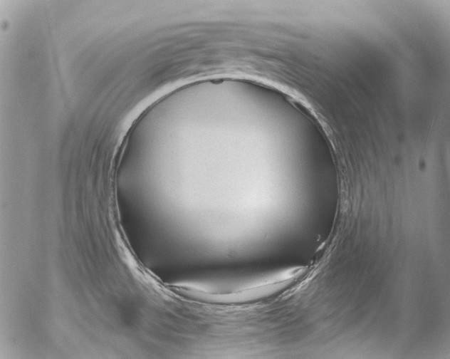 X0000053161534200508012323