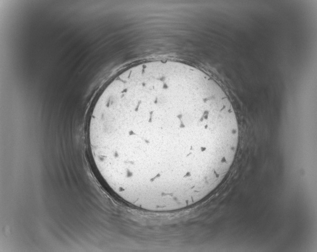 X0000053160002200508081449