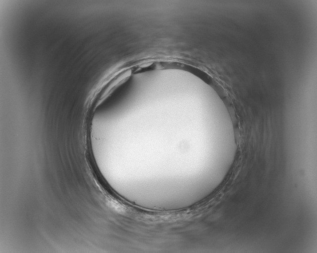 X0000053160005200508081449