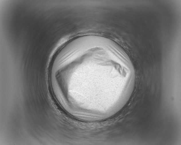 X0000053160006200508081449