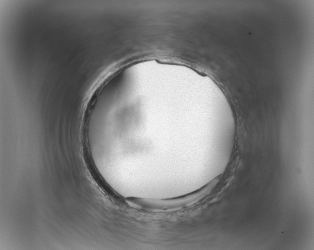 X0000053160007200508081449