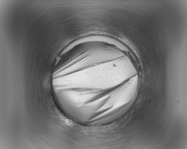 X0000053160009200508081449