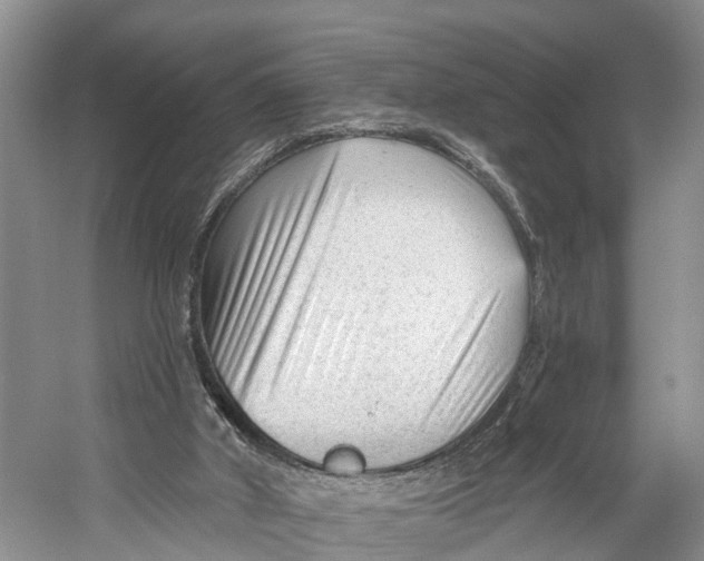 X0000053160010200508081449