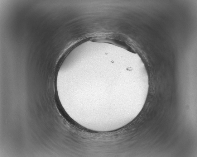 X0000053160011200508081449