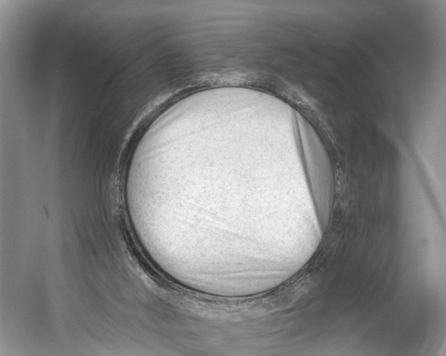X0000053160012200508081449
