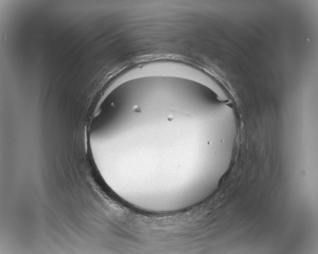 X0000053160013200508081449