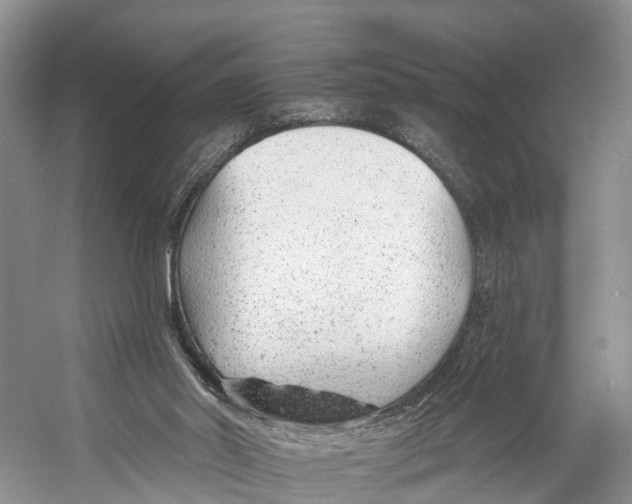 X0000053160014200508081449