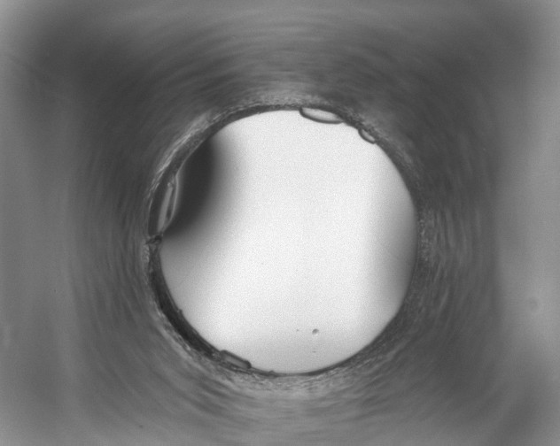 X0000053160015200508081449