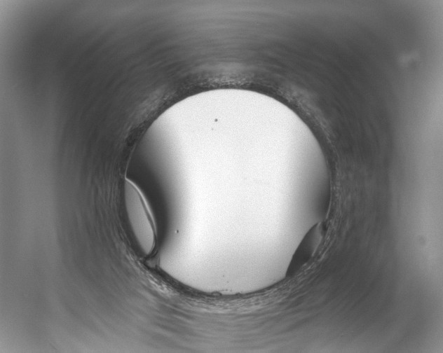 X0000053160017200508081449