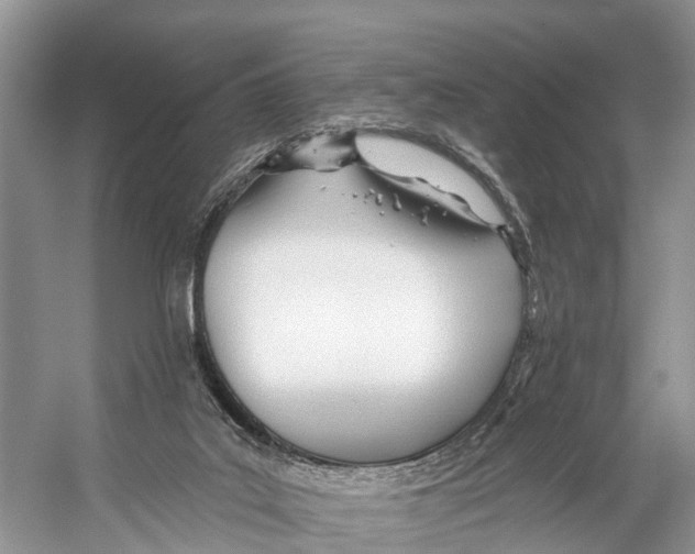 X0000053160019200508081449