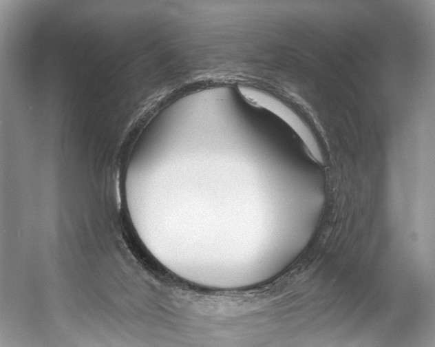 X0000053160020200508081449