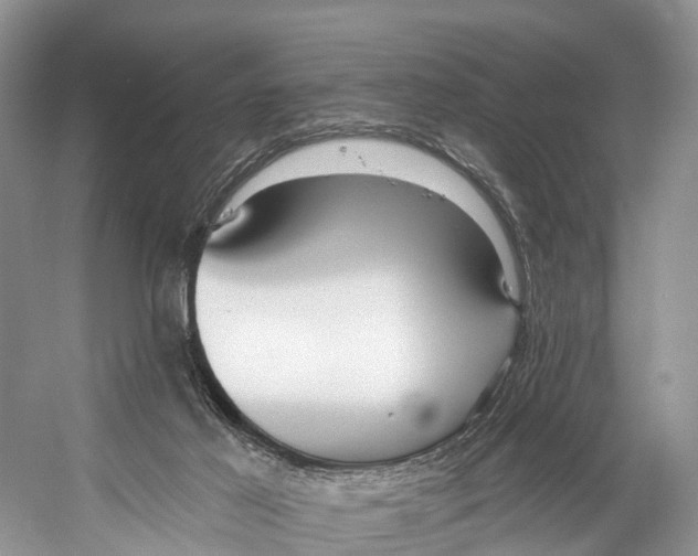 X0000053160021200508081449