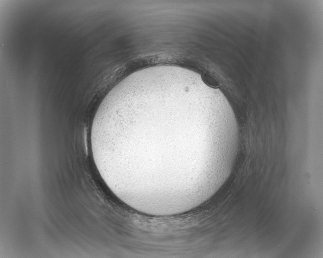 X0000053160022200508081449