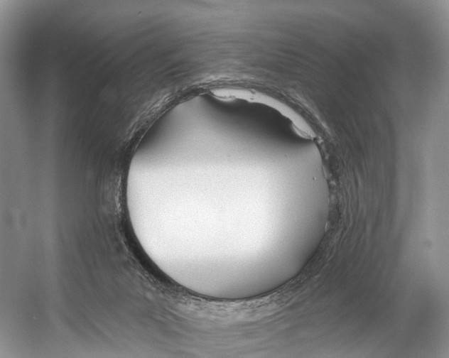 X0000053160023200508081449