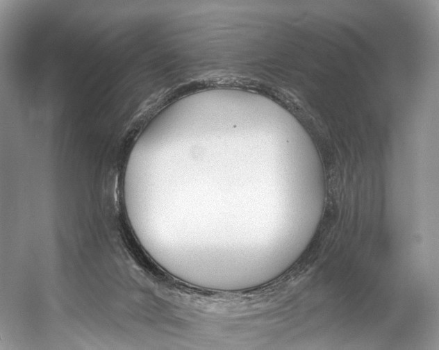 X0000053160024200508081449