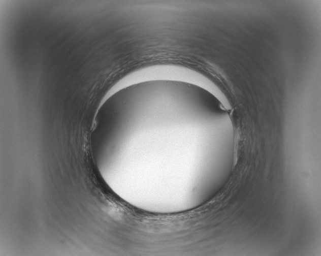 X0000053160025200508081449