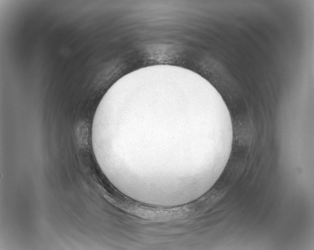 X0000053160036200508081448