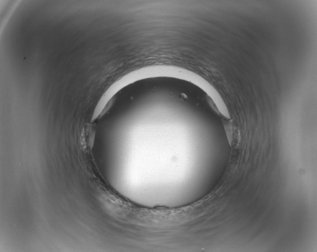 X0000053160037200508081448