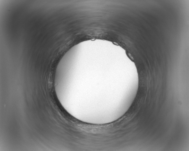 X0000053160040200508081448