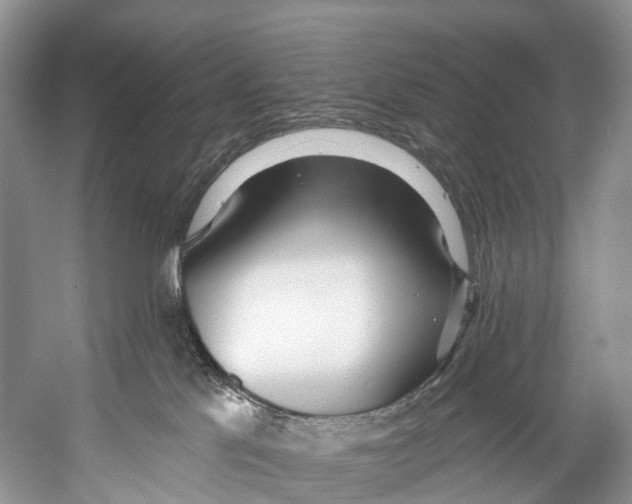 X0000053160041200508081448