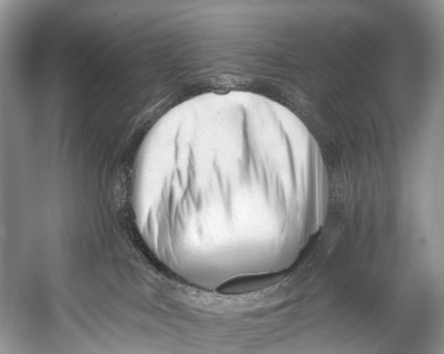 X0000053160043200508081448