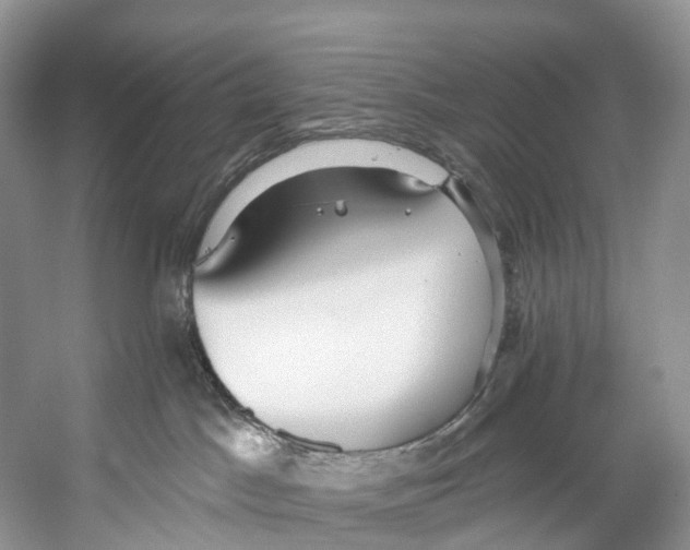 X0000053160045200508081448