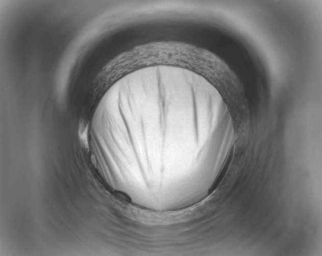 X0000053160047200508081448