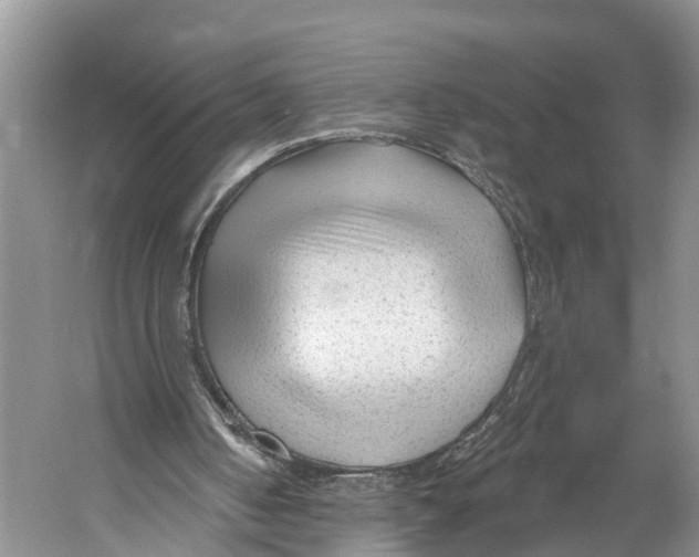 X0000053160050200508081447
