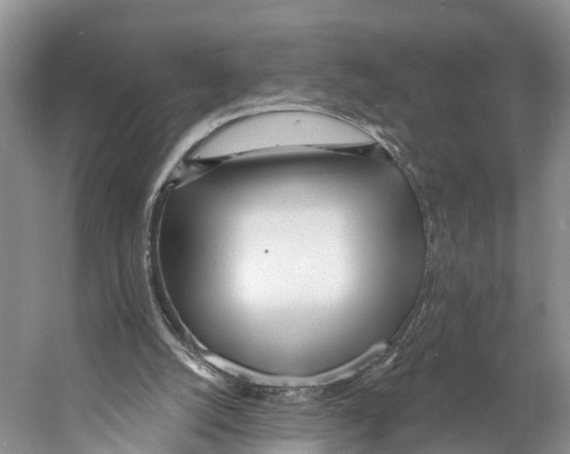 X0000053160056200508081447