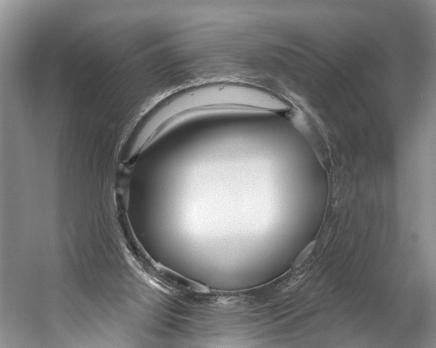 X0000053160060200508081447