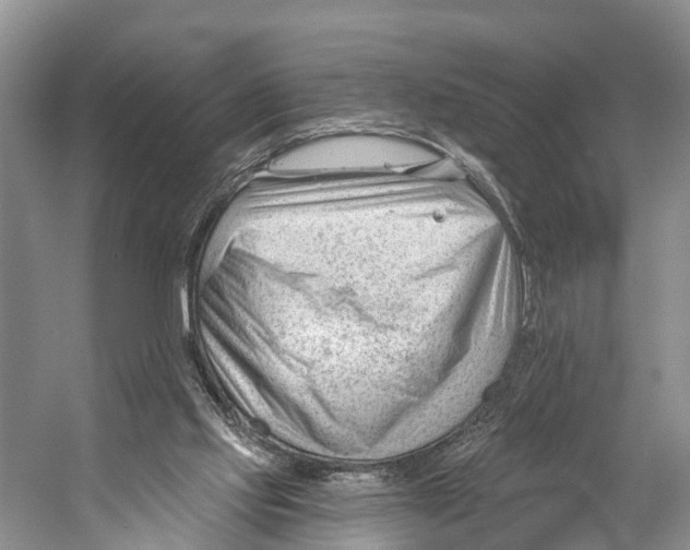 X0000053160061200508081447