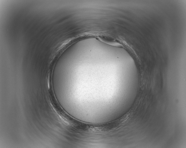 X0000053160062200508081448