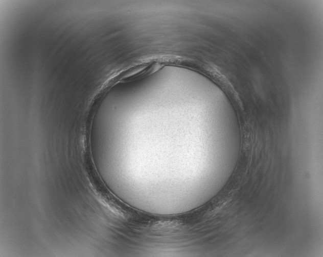 X0000053160063200508081448