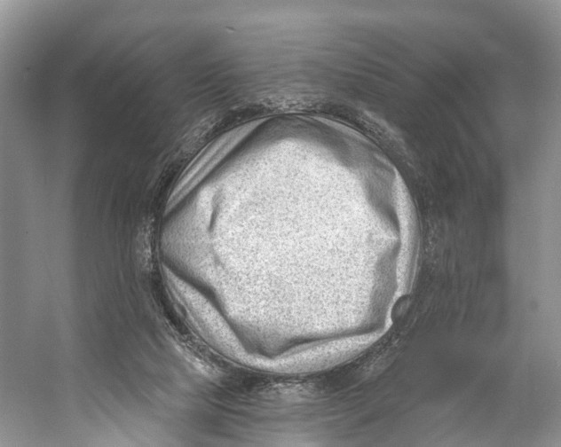 X0000053160065200508081448