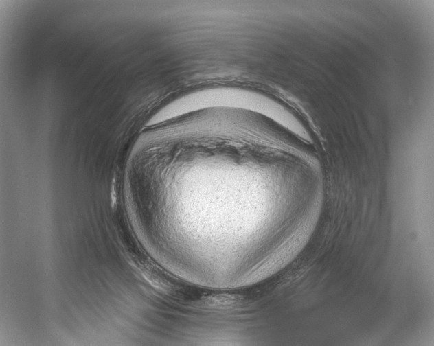 X0000053160069200508081448