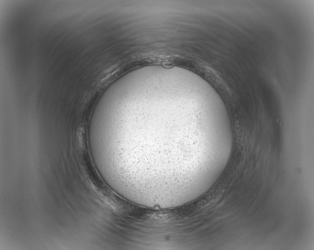 X0000053160071200508081448