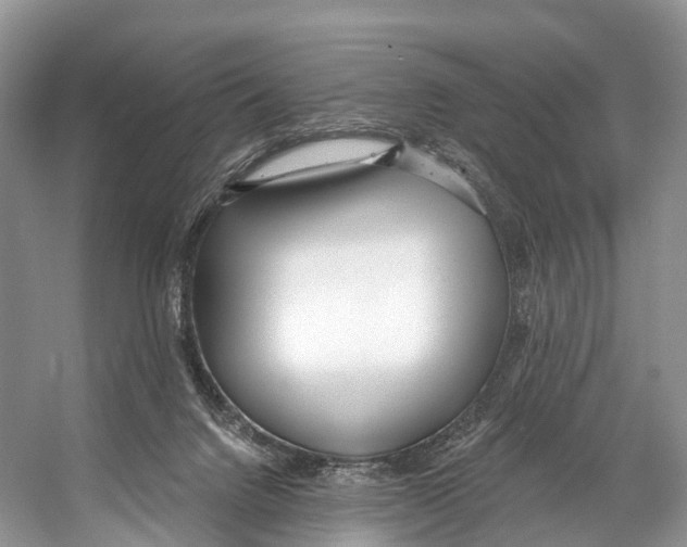 X0000053160072200508081448