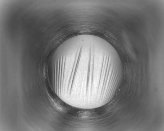 X0000053160074200508081448