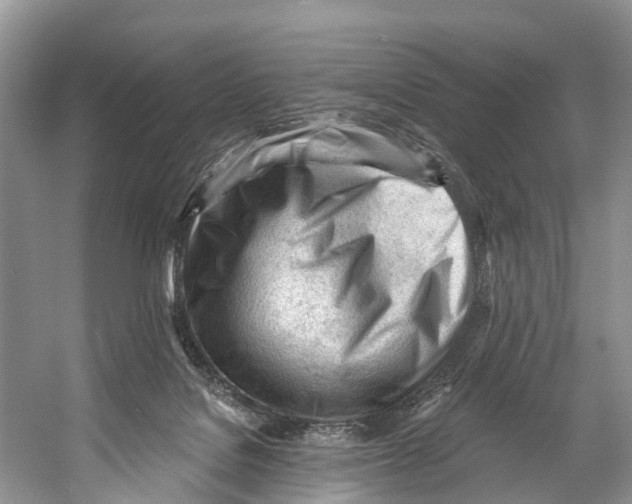 X0000053160076200508081448