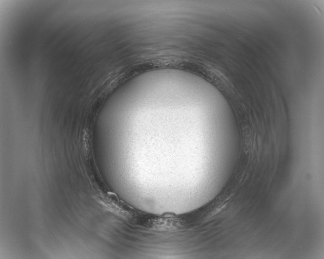 X0000053160077200508081448